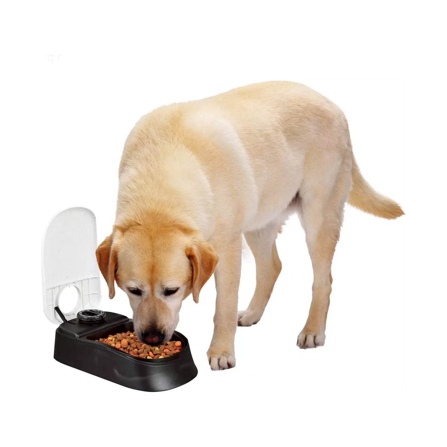Automatic Pet Feeder  Portion Control Food Dispenser