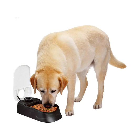Automatic Pet Feeder  Portion Control Food Dispenser