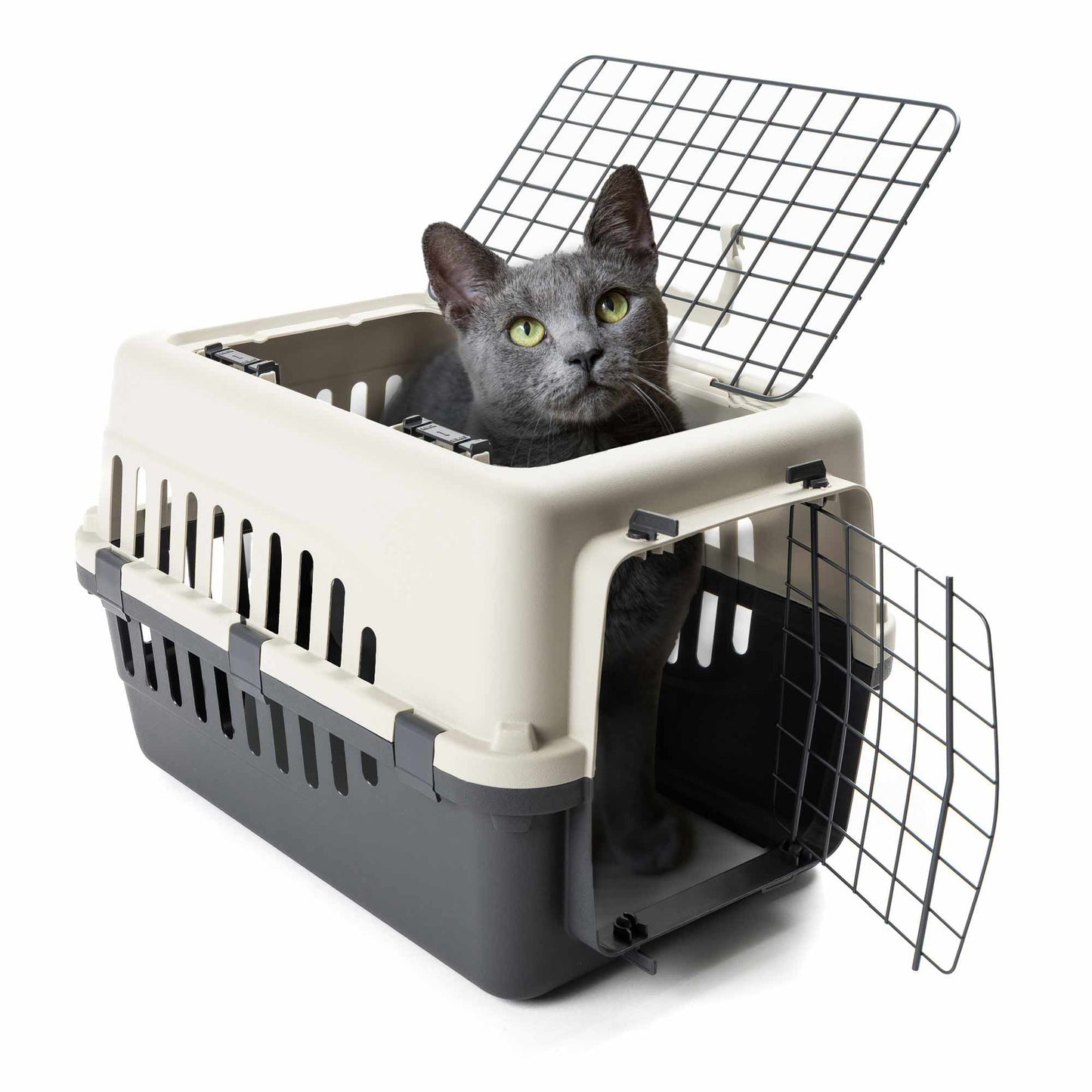 Pet Carrier Box  Portable Dog & Cat Travel Crate